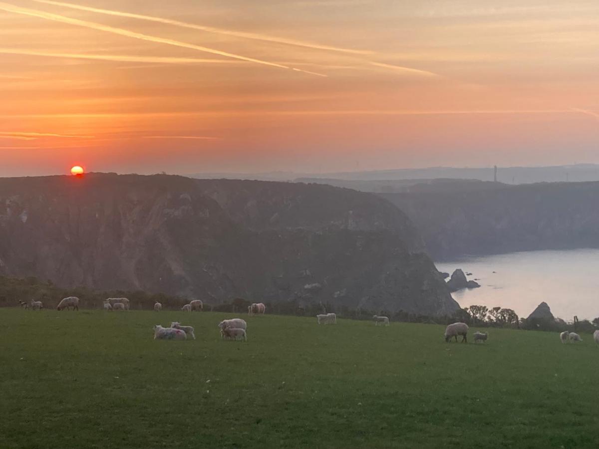 Coast Path Camping Hotell Haverfordwest Exteriör bild